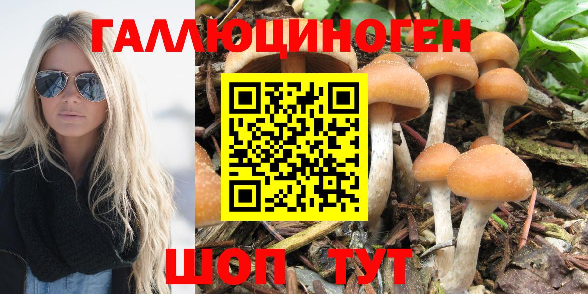 цены наркотик  Вход с VPN  Дербент  Галлюциногенные грибы ЛСД 